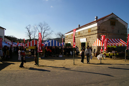 にぎわい市会場