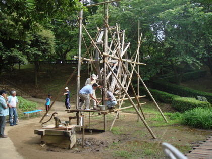 dsc00608.jpg