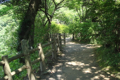 遊歩道